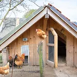 Apartmán Ostseegarten Langholz - Spatzennest Bis 4 Pers